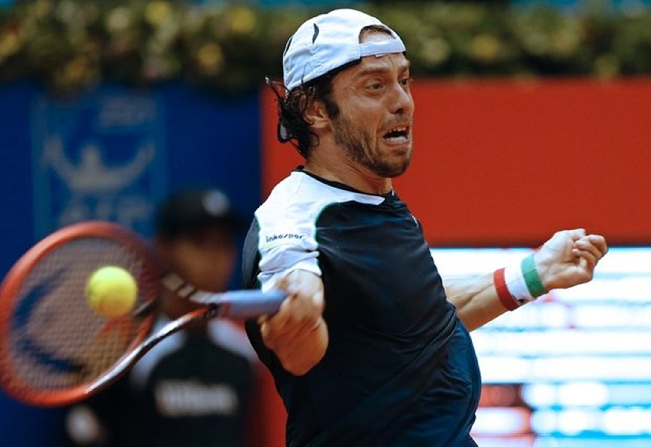lorenzi brasile