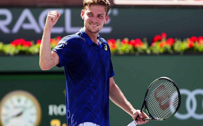 Goffin