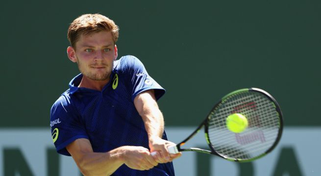 David Goffin in azione