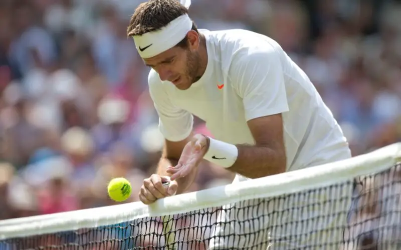 Tennis: 2013 Wimbledon Djokovic vs Del Potro
