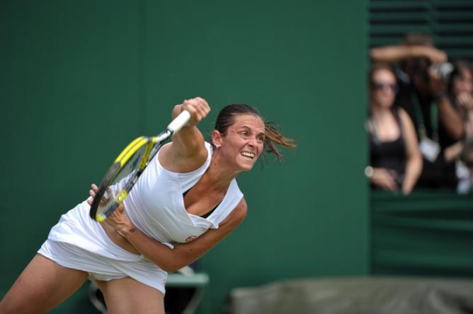 vinci