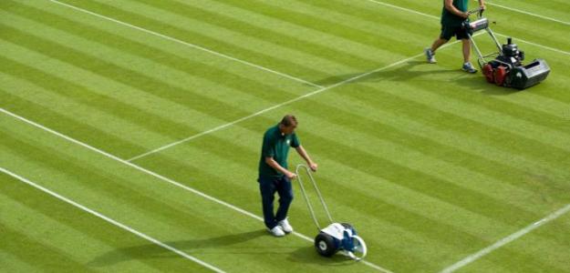 wimbledon_pasto