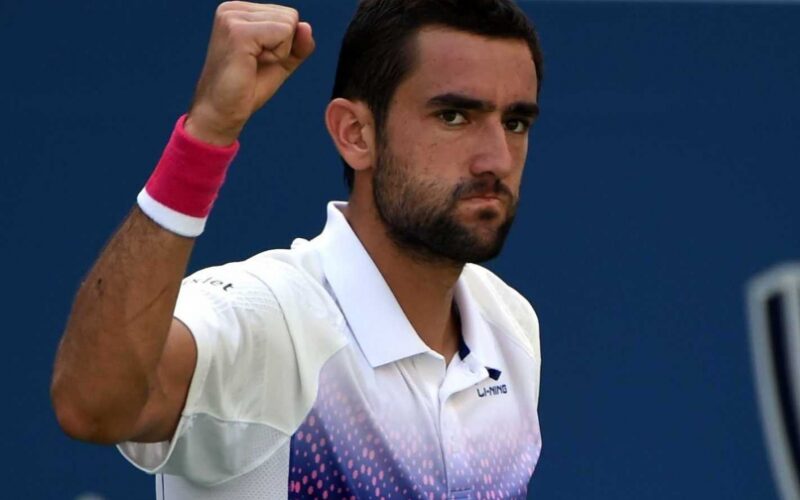 cilic 2