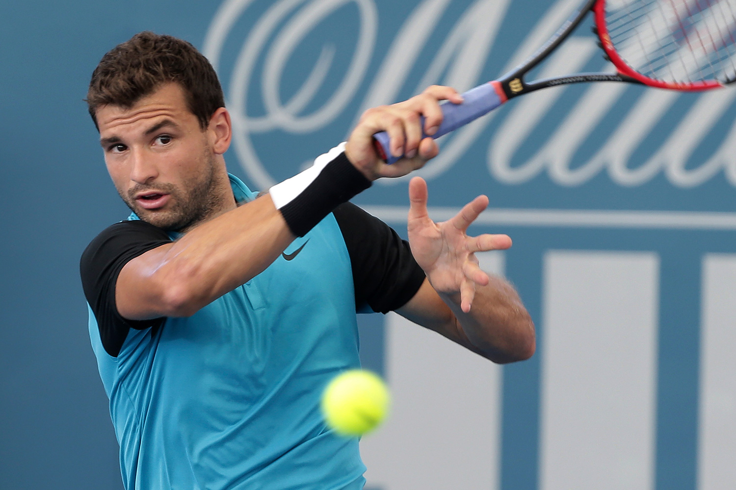 Grigor-Feature