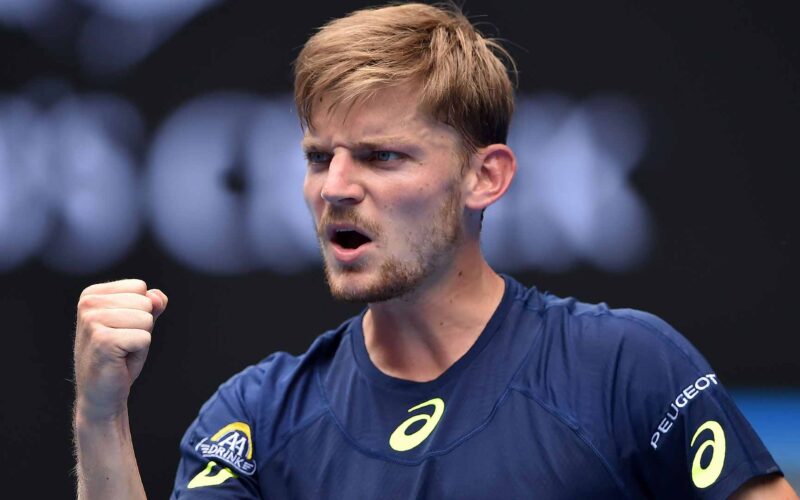 Goffin ebden