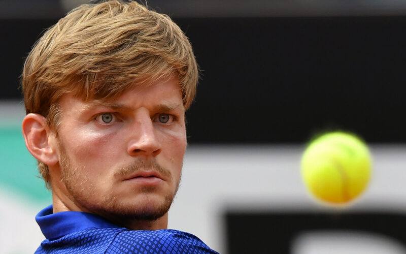 David Goffin
