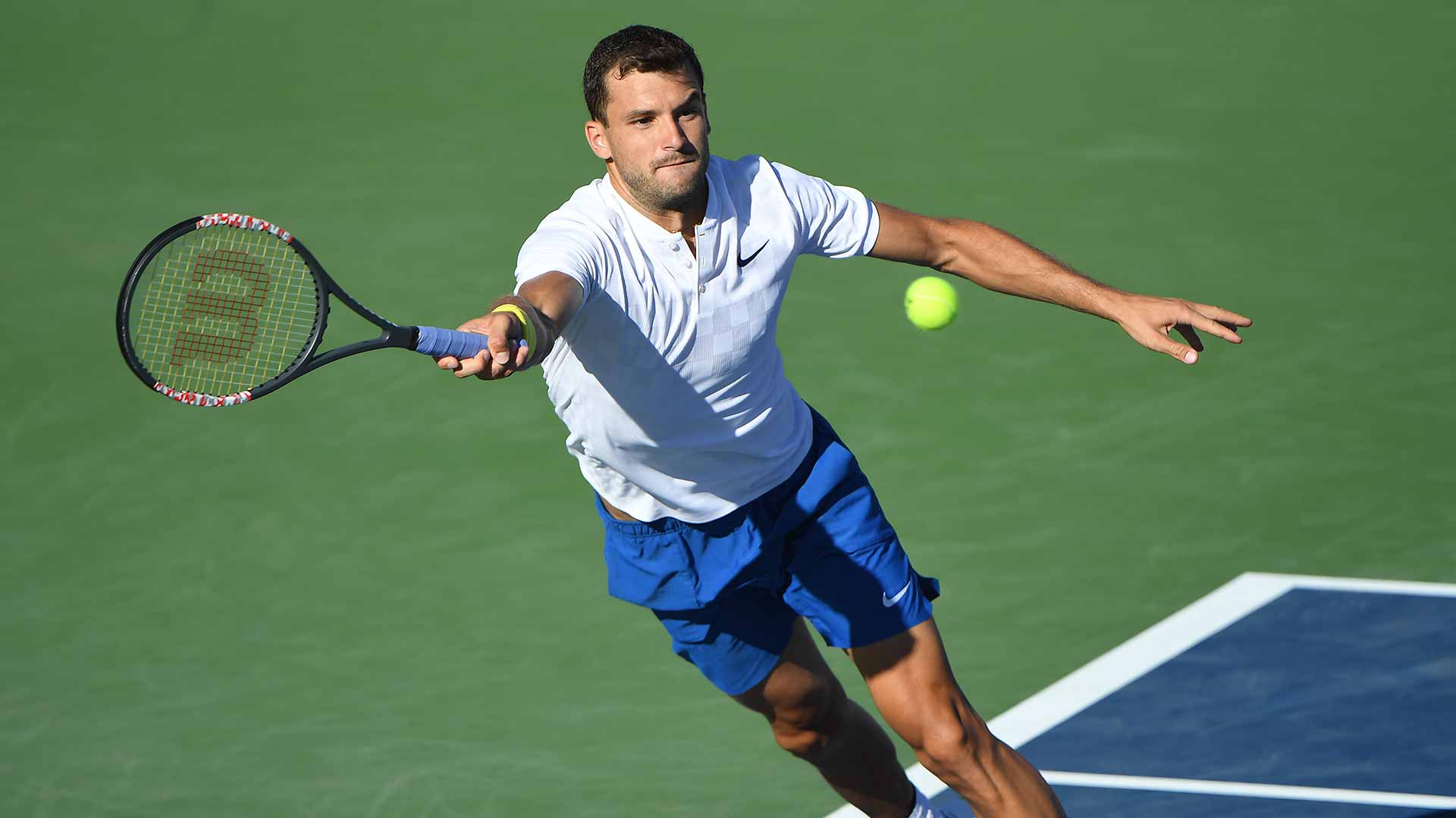 dimitrov-montreal-2017-file-monday