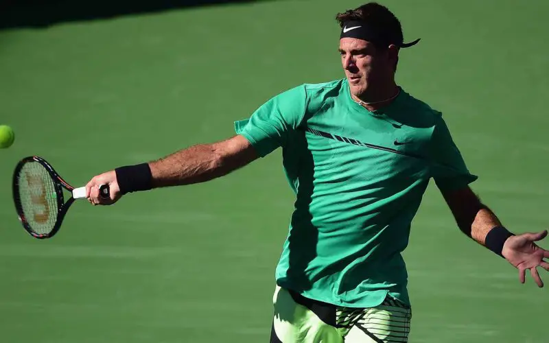 Juan Martin Del Potro, vincitore a Delray Beach nel 2011