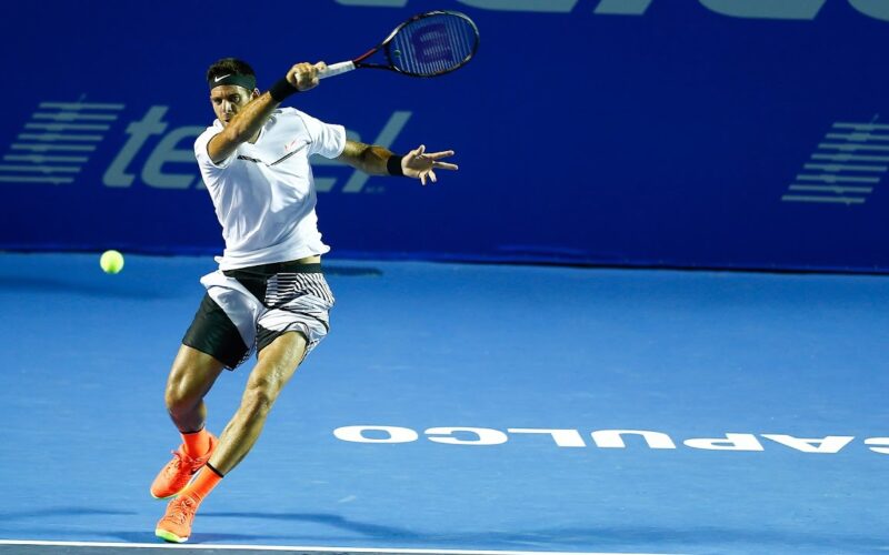 Juan Martin del Potro