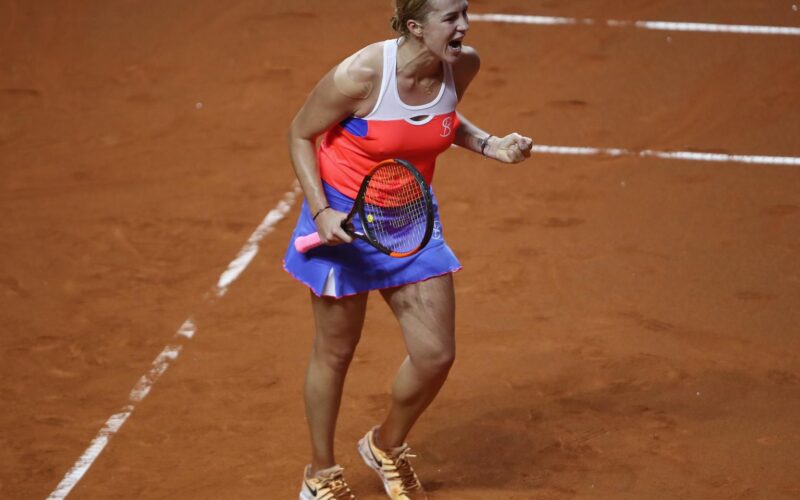 Anastasia Pavlyuchenkova