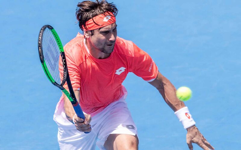David Ferrer