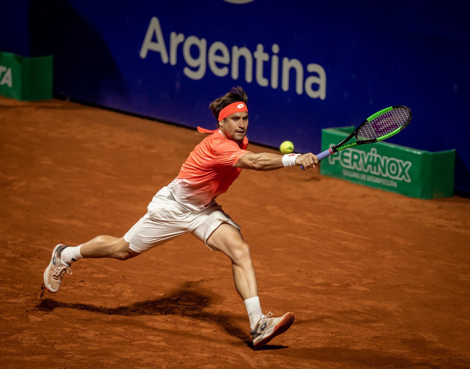 David Ferrer Baires 2019