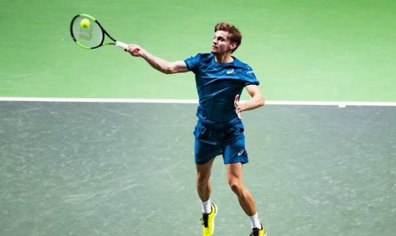 David Goffin