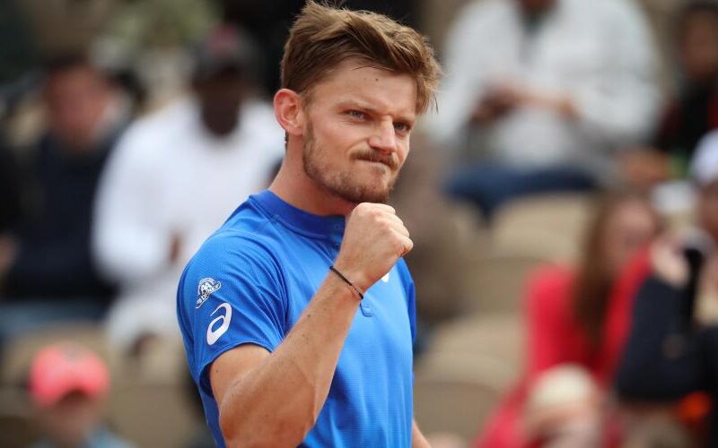 David Goffin