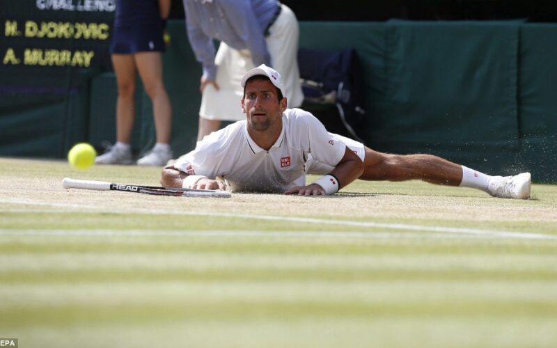 nole-a-terra