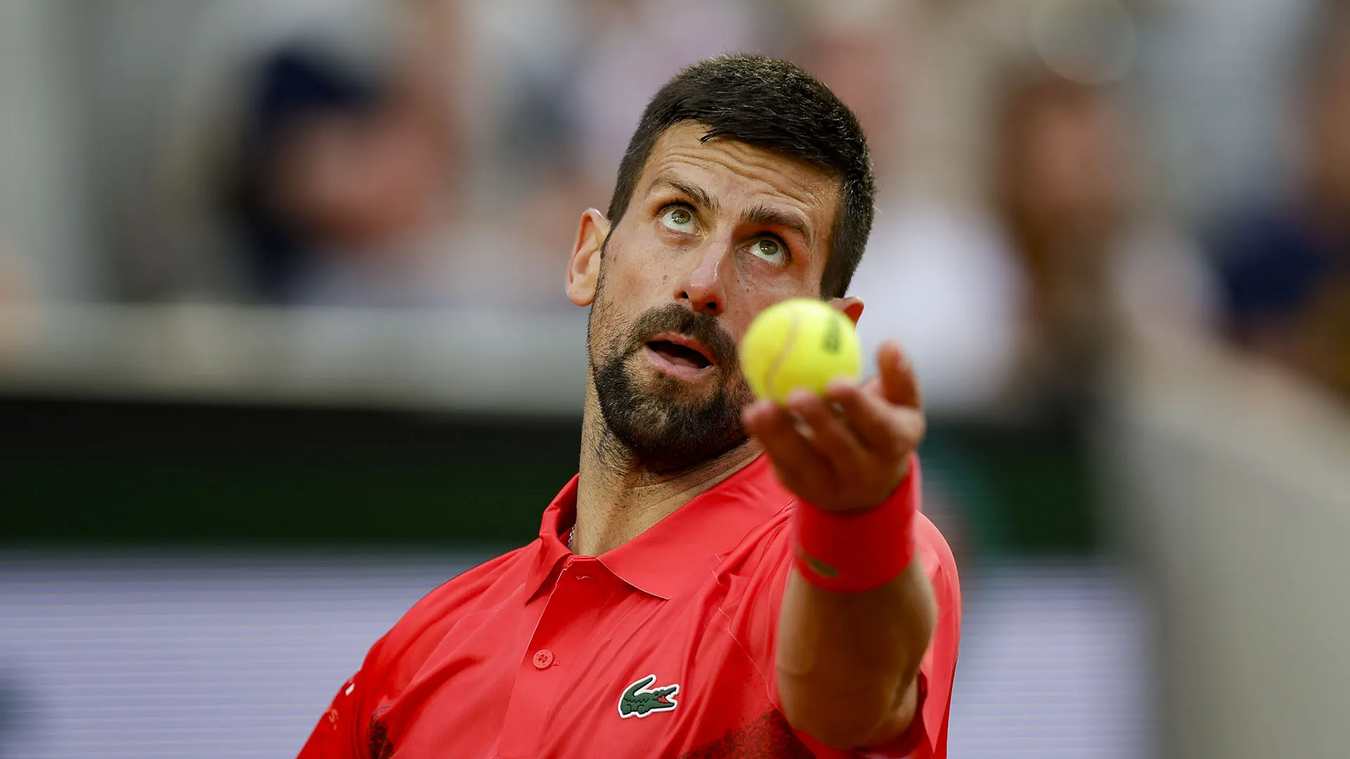 novak_djokovic-4[1]